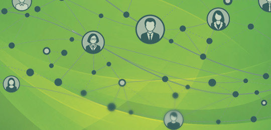 connections on green background